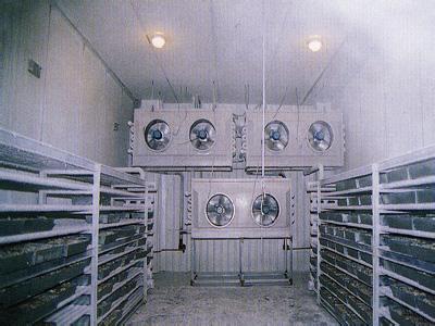 冷庫工程—速凍冷庫