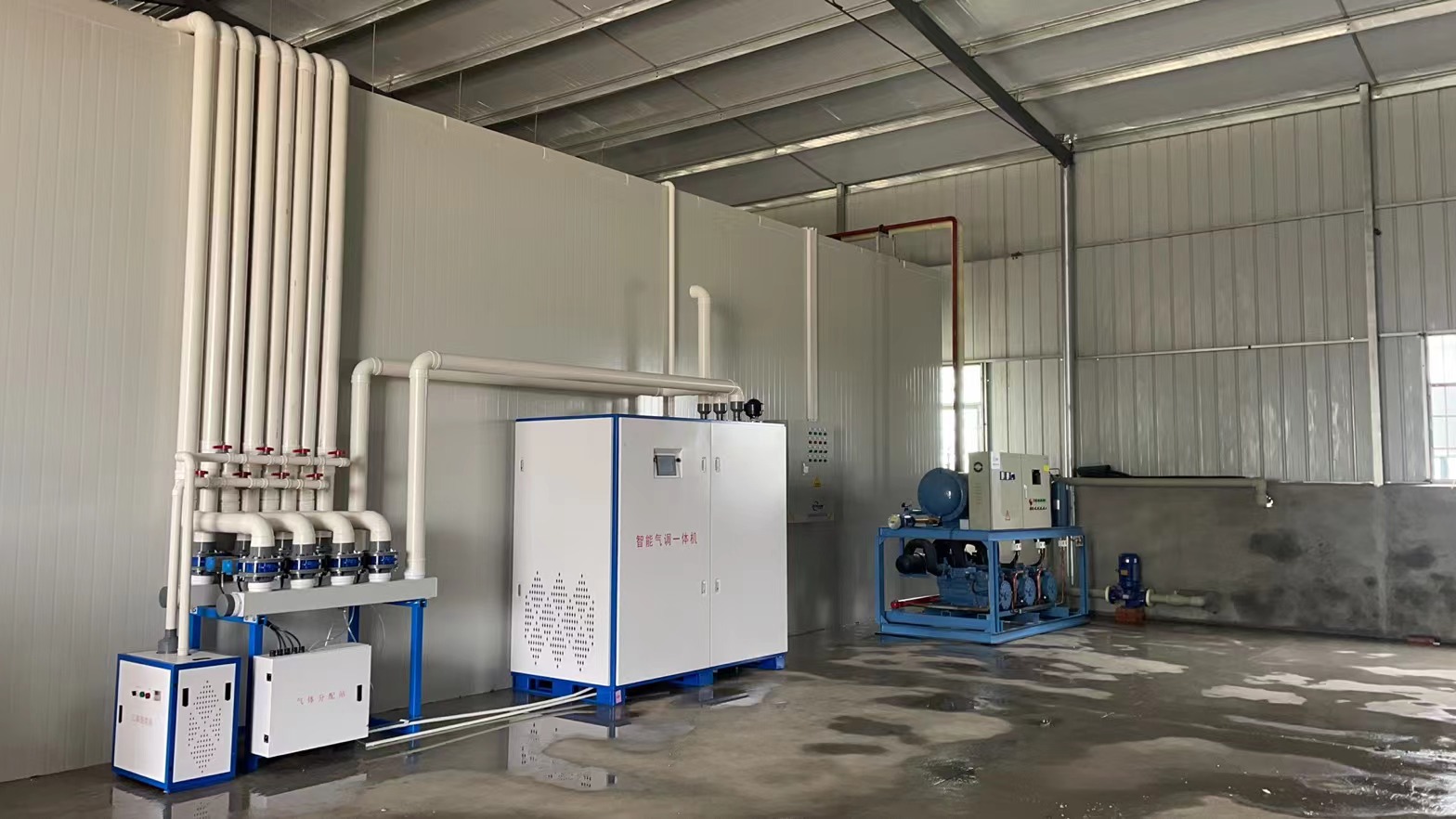 湖北石首 【陽光玫瑰項(xiàng)目】